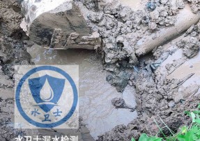 武冈市水管漏水检测公司5